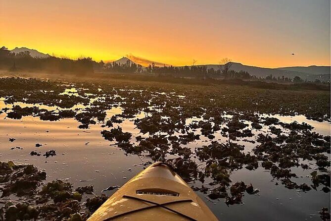Kayaking adventure through the Xochimilco and Frida Kahlo Canals - Authenticity and Value