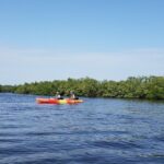 Kayaking Backwaters of New Smyrna Beach Ecotour/Birdwatching - The Value of the Tour