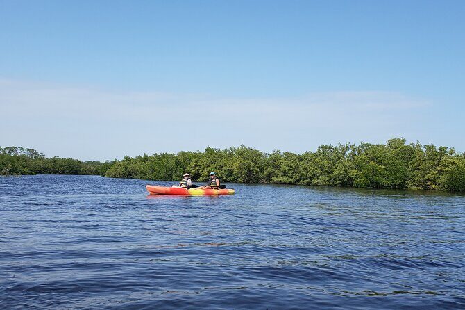 Kayaking Backwaters of New Smyrna Beach Ecotour/Birdwatching - The Value of the Tour