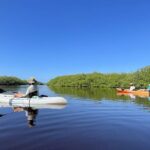 Kayaking in the Mangroves Experience - Who Should Consider This Experience?