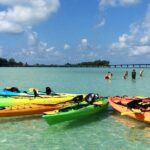 Kayaking with coastal wildlife in Sarasota Bay - Who Should Consider This Tour?