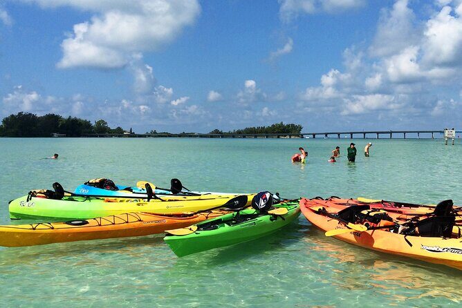 Kayaking with coastal wildlife in Sarasota Bay - Who Should Consider This Tour?