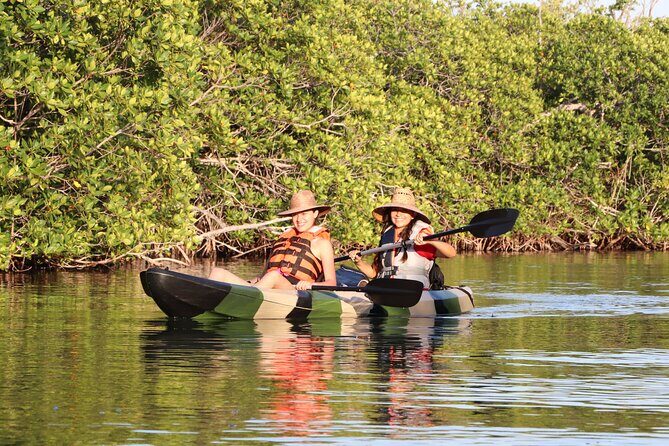 Kayaks at the Mangroves Lagoon Ecosystem from Cancun - Practical Details
