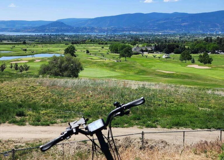 Kelowna: E-Bike Bee Tour w/ Tastings, Lunch, and Audioguide - Final Thoughts: Who Will Appreciate This Tour?