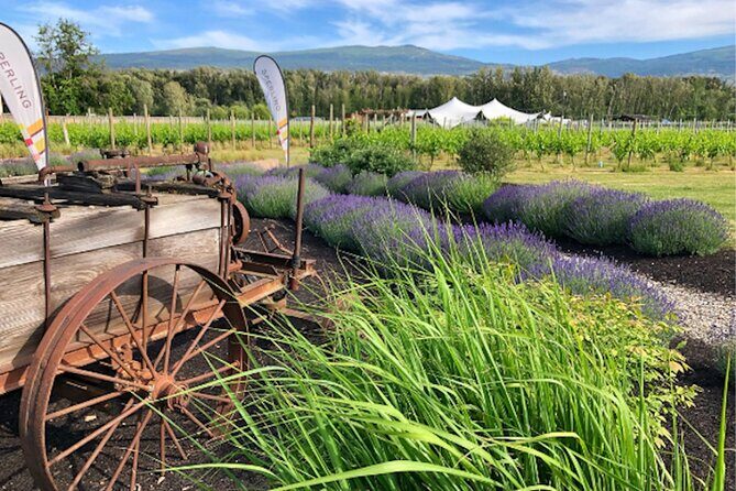 Kelowna Guided E-Bike Wine Tour with Tastings and Okanagan Lunch - The Itinerary in Detail