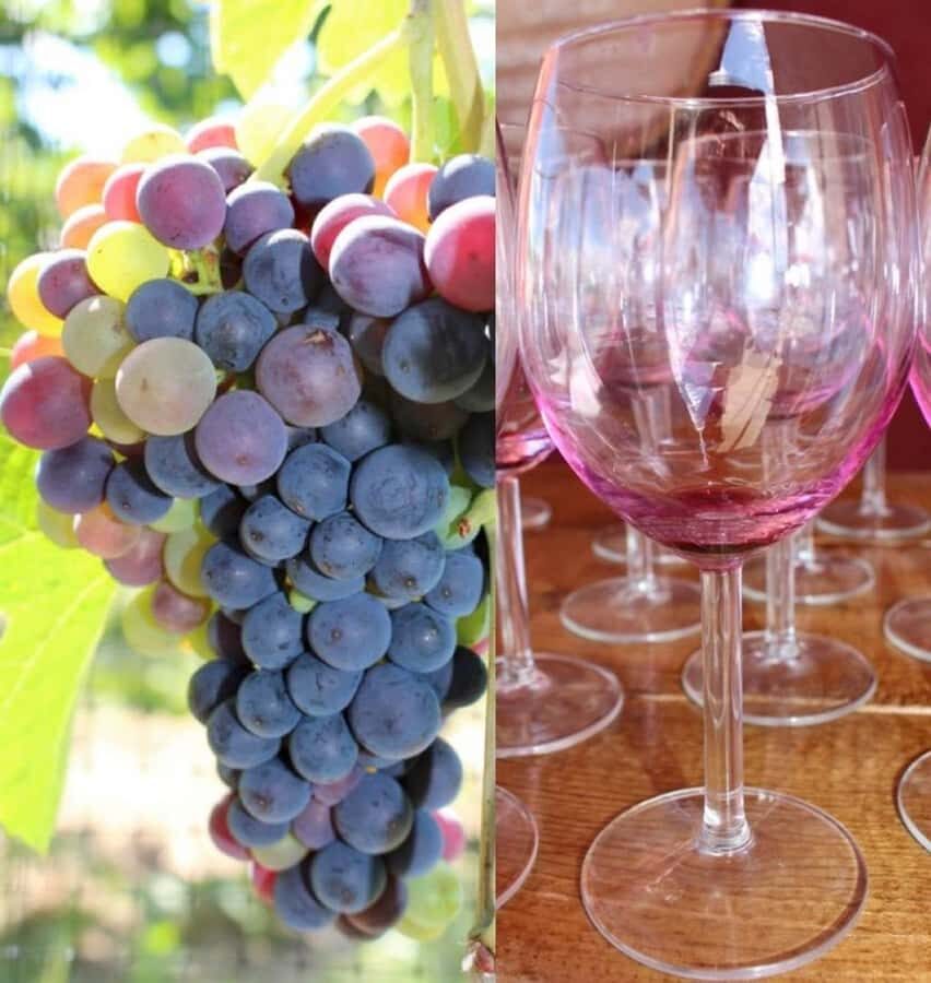 Kelowna: Myra Canyon Bike & Wine Tasting Full Day Tour - The Bike Tour: Myra Canyons Historic Treasures