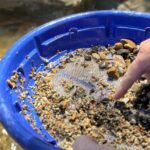 Kelowna: Okanagan Gold Panning Experience at Scenic Canyon - The Scenic Canyon Setting