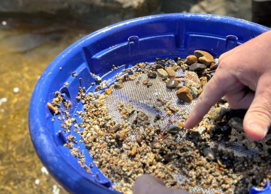 Kelowna: Okanagan Gold Panning Experience at Scenic Canyon - The Scenic Canyon Setting