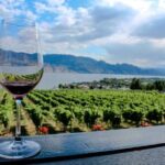 Kelowna or West Kelowna Afternoon Sightseeing Wine Tour - Authentic Experiences and Guest Insights