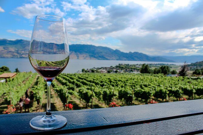 Kelowna or West Kelowna Afternoon Sightseeing Wine Tour - Authentic Experiences and Guest Insights