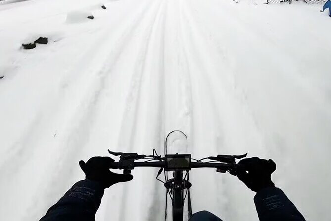 Kelowna Snow E-Biking Adventure with Lunch, Wine Tasting & S'mores - Who Should Consider This Tour?