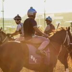 Kentucky Derby Museum - Admission with Guided Track Visit - A Full Breakdown of the Experience