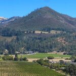 Kenwood Wine Country Electric Trike 3 Hours Tour - Frequently Asked Questions