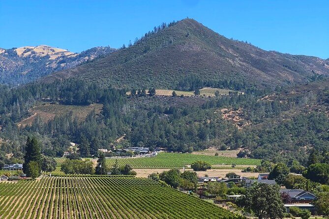 Kenwood Wine Country Electric Trike 3 Hours Tour - Frequently Asked Questions