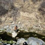 Kern County: Gold Panning Experience - The Itinerary Breakdown