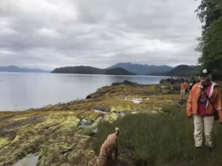 Ketchikan: E-Bike and Hike Tour - What Makes This Tour Stand Out?