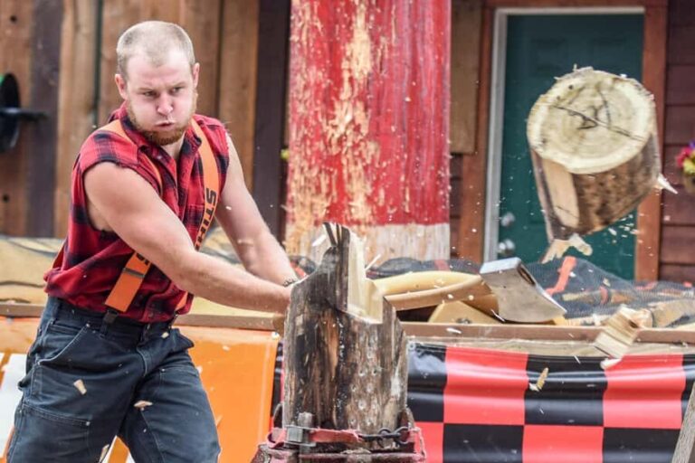 Ketchikan: Lumberjack Show & Crab Feast - Who Should Consider This Tour?