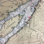 Ketchikan: Marine Wildlife and Whale Watching Boat Tour - Evaluating the Value