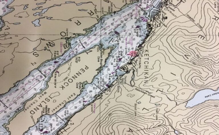 Ketchikan: Marine Wildlife and Whale Watching Boat Tour - Evaluating the Value