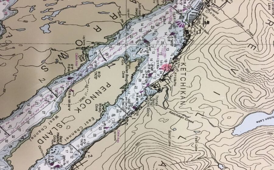 Ketchikan: Marine Wildlife and Whale Watching Boat Tour - Evaluating the Value