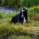 Ketchikan: Private Customizable Boat Tour with Captain Jack - Who Should Consider This Tour?