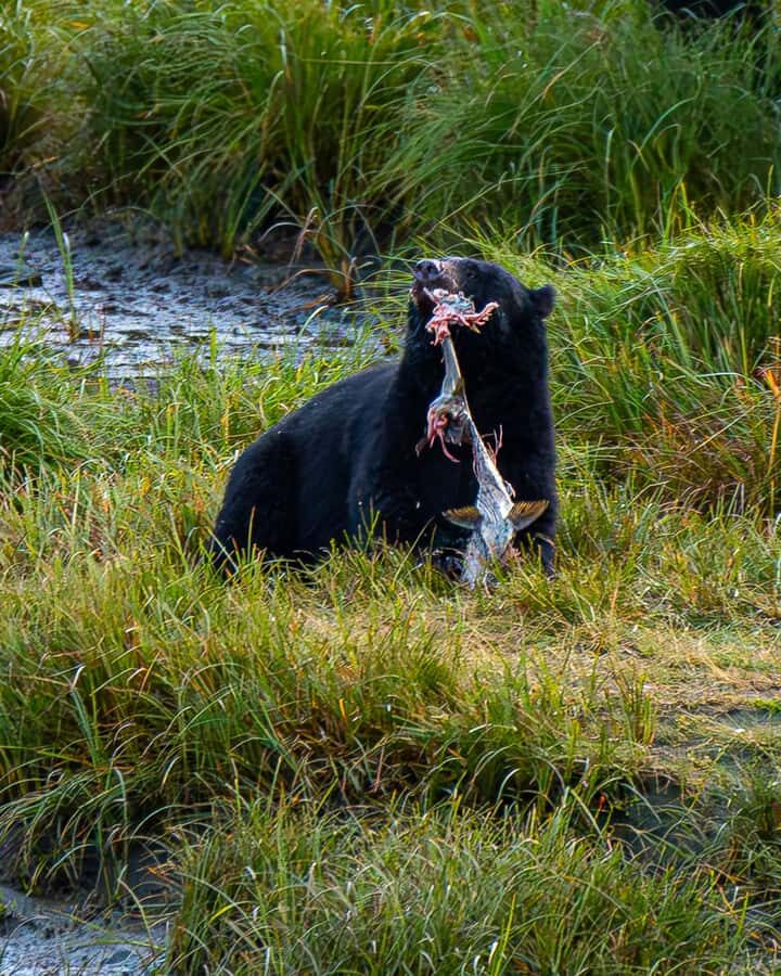 Ketchikan: Private Customizable Boat Tour with Captain Jack - Who Should Consider This Tour?