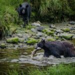 Ketchikan: Private Tours suitable for all ages! - The Sum Up: Is This Tour Right for You?