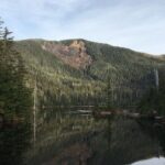 Ketchikan Rainforest Adventure Nature & Wildlife Tour - The Value of the Experience