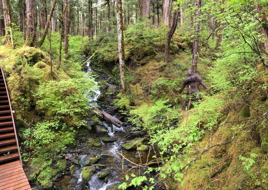 Ketchikan: Tongass Forest Alaska Bigfoot ATV Ride and Hike - What Sets This Tour Apart