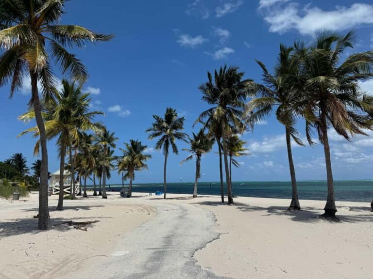 Key Biscayne: Self-Guided E-bike Tour - What to Expect on the Route