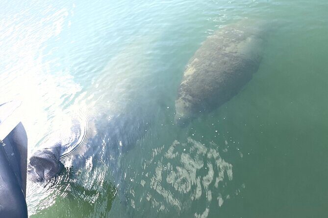 Key Largo Day Tour - A Well-Balanced View