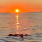 Key Largo: Sunset Cruise - How This Tour Offers Value