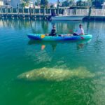 Key West: 2-hour Mangrove Kayak Tour - The Itinerary: What You Can Expect