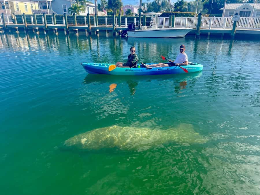 Key West: 2-hour Mangrove Kayak Tour - The Itinerary: What You Can Expect