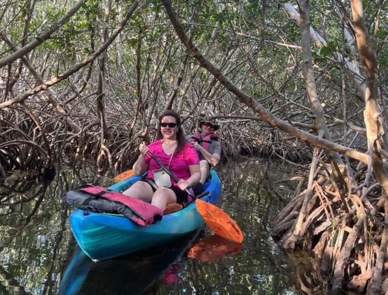 Key West: 3-hour Mangrove Kayak Tour - Details About the Tour