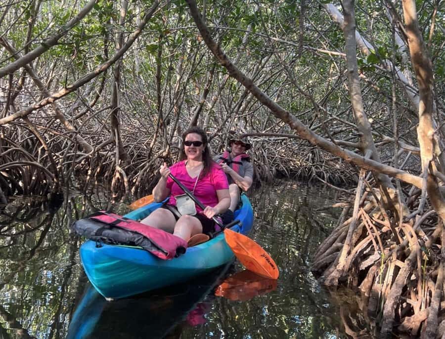Key West: 3-hour Mangrove Kayak Tour - Details About the Tour