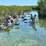 Key West Area: Guided Clear Kayak Eco-Tour - The Value and Who Will Love This Tour
