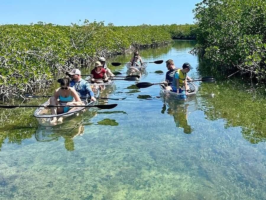 Key West Area: Guided Clear Kayak Eco-Tour - The Value and Who Will Love This Tour
