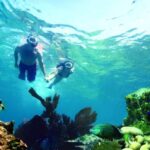 Key West: Dolphin Watching and Snorkeling Eco Cruise Tour - In-Depth Look at the Tour Experience