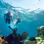 Key West Double Dip: 2-Stop Reef Snorkeling Trip - The Itinerary: What to Expect on Your Double Dip Adventure
