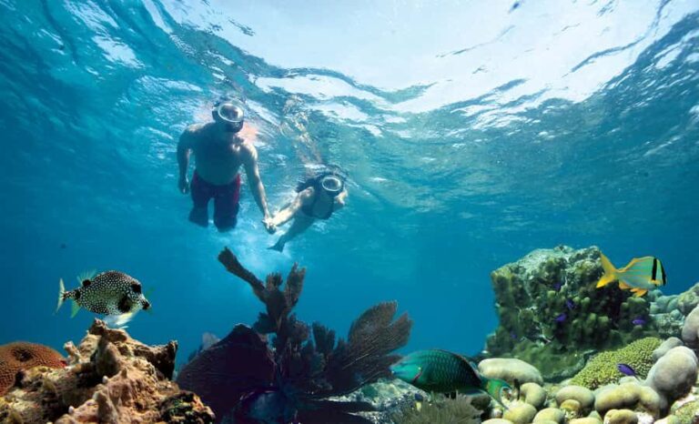 Key West Double Dip: 2-Stop Reef Snorkeling Trip - The Itinerary: What to Expect on Your Double Dip Adventure