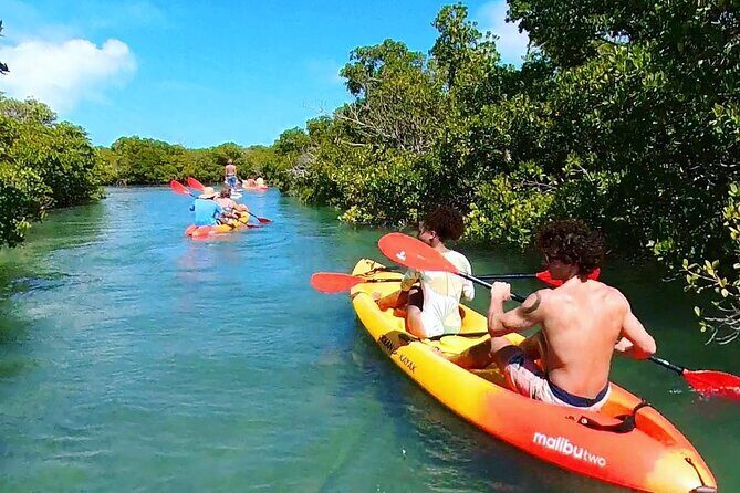 Key West Hidden Sanctuary Mangrove Kayak Tour With Drinks - Practical Details That Matter