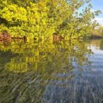 Key West: Kayak or Paddleboard Rental - Key Points