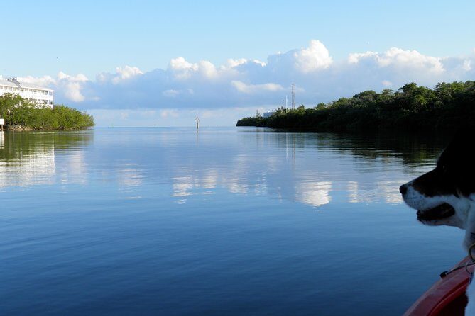 Key West Kayak Rental - The Sum Up: Why It’s Worth Considering