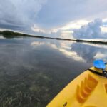 Key West: Mangrove Kayak or SUP Eco Tour - Is This Tour for You?