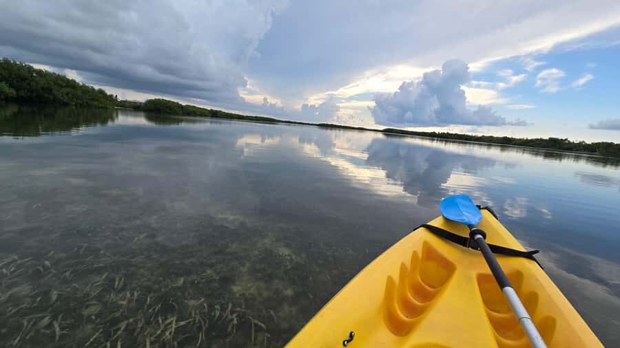Key West: Mangrove Kayak or SUP Eco Tour - Is This Tour for You?