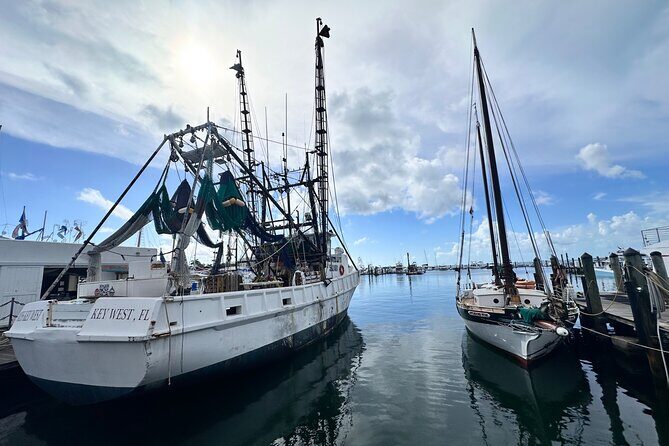 Key West Odyssey: Uncover Island Secrets, Walk by Locals - Who Should Consider This Tour?