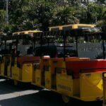 Key West Parasailing Shared Experience with Conch Train from Miami - Who is This Tour Best For?