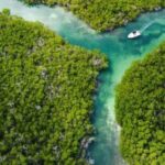 Key West: Private Boat Charter with Captain - What to Expect: A Day in the Life of Your Private Charter