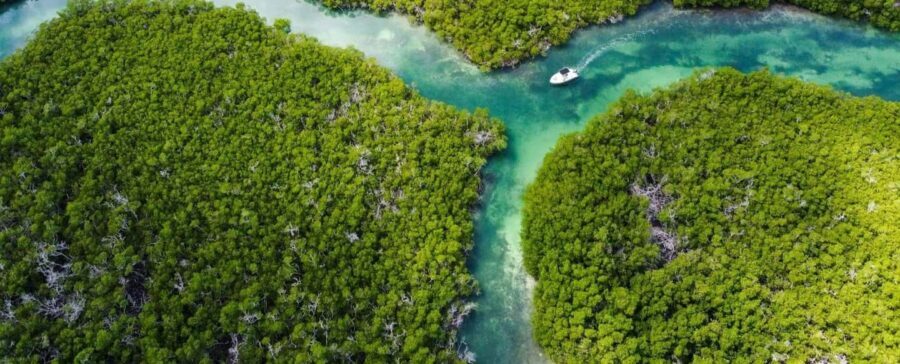 Key West: Private Boat Charter with Captain - What to Expect: A Day in the Life of Your Private Charter